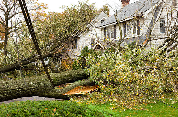 Storm Damage Restoration Services