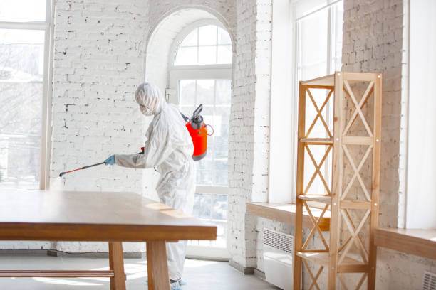 mold remediation 4