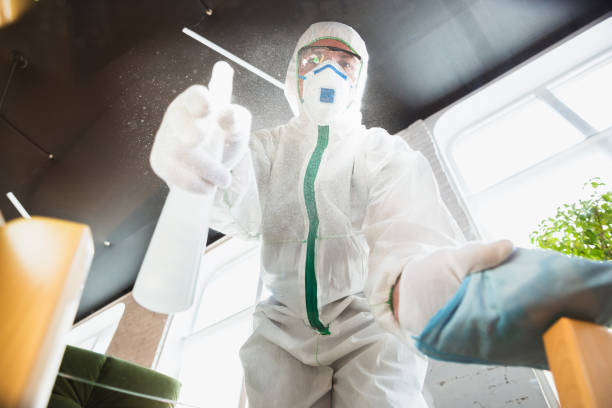 mold remediation 5
