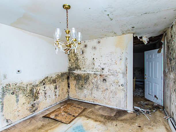 water damage 1