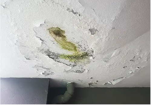 Water Damage Repair