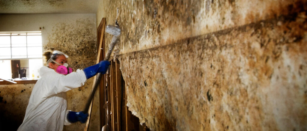 Emergency Mold Restoration Services