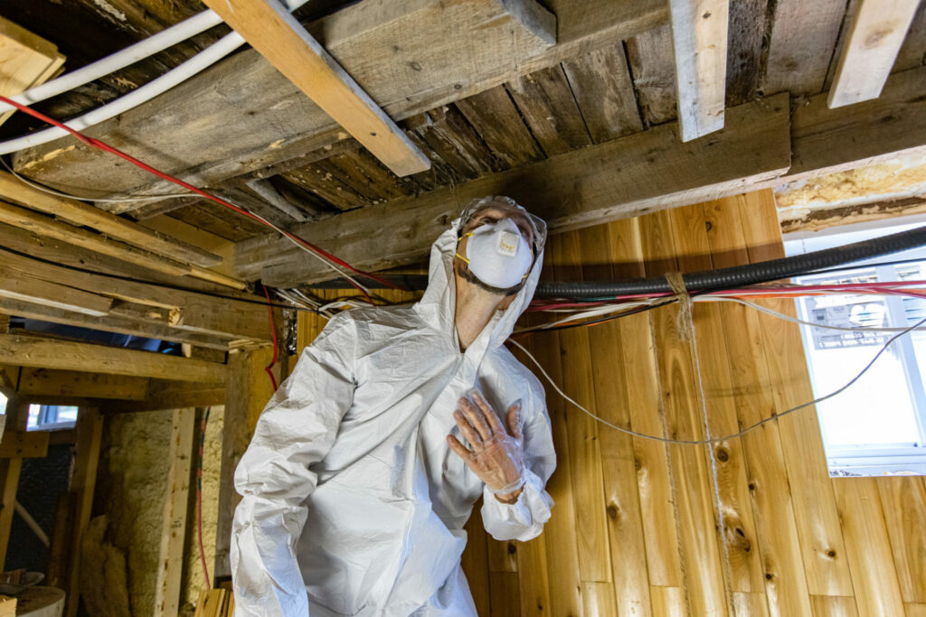 Residential Mold Remediation