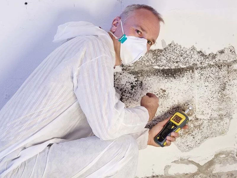 Why Choose a Professional Mold Remediation Services Company in