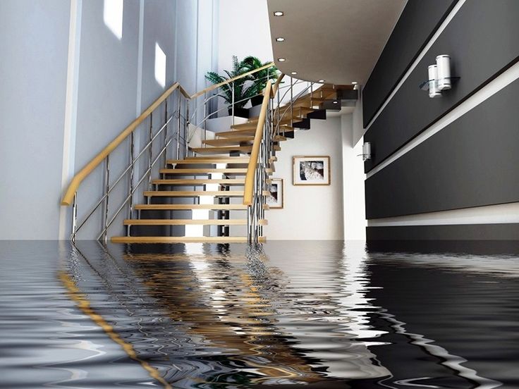 Protect Your Home: Water Damage Causes, Restoration, and Prevention