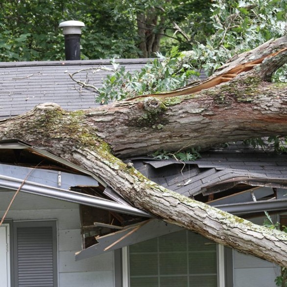 Emergency Storm Damage Repair